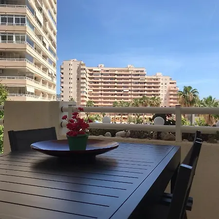 Apartment Apolo